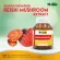 เห็ดหลินจือ x 1 ขวด สารสกัดจากเห็ดหลินจือ ไบโอแคป Reishi Mushroom Extract Biocap