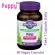 Oregon's Wild Harvest Kelp 90 Vegan Capsules Slips Algae Extract