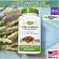 สารสกัดเปลือกชมพูระย้าทิพย์ Pau d' Arco Inner Bark 1090 mg 180 Veg Capsules Nature's Way®