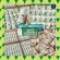 NBL LC NBLL, Lung nourishes, allergies, vitamins, lungs, herbs, lung nourishing 30 tablets/1 bottle, free delivery, with a destination.