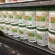 Amway weight loss protein, Amway, ALL Platin, Nutrite, Nutrite, All Platin, Protein 450G, Real Amway Protein, New Lot Shop, Thai Language Label Thai**