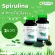 Set Double x2 Spirulina Spirulina Seaweed, Gold, Anemo / Herbal One 100 capsules / bottles