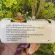 Amway แอมเวย์ นิวทริไลท์ ซีแอลเอ 500 จากน้ำมันดอกคำฝอย ลดไขมัน เสริมภูมิคุ้มกัน 1กระปุก - บรรจุ 180 แคปซูล ช็อปไทย