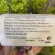 Amway แอมเวย์ นิวทริไลท์ ซีแอลเอ 500 จากน้ำมันดอกคำฝอย ลดไขมัน เสริมภูมิคุ้มกัน 1กระปุก - บรรจุ 180 แคปซูล ช็อปไทย