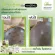 บ้านหมอละออง สมุนไพร น้ำมันสปาบำรุงผิว Moisture Spa Oil  ผิวแห้ง ผื่นคัน สะเก็ดเงิน ขนาด 120/500 ml.