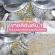 Rida Coconut Oil Rida Coconut Coconut Oil, Rida Coco Plus mixed with Japanese collagen and 60 vitamins, 1 bottle, nourishing bones, losing skin, nourishing the skin.