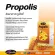 Auswelllife Propolis 1000 mg. โพรพอลิส พรอพอลิส ลดภูมิแพ้ ลดการอักเสบของสิว สร้างภูมิคุ้มกัน ปรับสมดุลฮอรโมน  มี 2 ขนาด 30 และ 60 เม็ด
