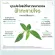 กิฟฟารีน Giffarine ยาแคปซูลฟ้าทะลายโจรสกัด FA-THALAI-JOAN EXTRACT CAPSULE, Extract of Andrographis paniculata leaves 30 แคปซูล Capsules 48009