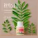 ไฟโตคิดส์ กิฟฟารีน Giffarine Phyto Kids ผักเม็ดเด็ก สำหรับเด็กไม่ชอบกินผัก ผลิตภัณฑ์เม็ดเคี้ยวผักและผลไม้ 100 เม็ด
