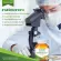 2 krachai extract Immor