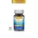 Real Elixir FISH OIL น้ำมันปลา สกัด 1,000 mg. 30 เม็ด