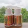 ไฟโตสเตอรอล กิฟฟารีน Giffarine Phytosterol ลดการดูดซึมโคเลสเตอรอล 60 แคปซูล