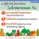 ไฟโตสเตอรอล กิฟฟารีน Giffarine Phytosterol ลดการดูดซึมโคเลสเตอรอล 60 แคปซูล