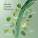 Chlorophyll Giffarine Chlorophyll C-O chlorophyll COC, chlorophyll supplement, vitamin C oolicovrucos