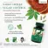 Narah Herbal Capsule ซื้อ 2 ฟรี 1 สมุนไพรนราห์ชนิดแคปซูล สูตรคุมเบาหวาน ความดัน ไขมัน เก๊าท์ ขนาด 120 แคปซูลต่อขวด