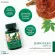 Narah Herbal Capsule, Capsule herbs Diabetes control formula, grease, 120 capsules per bottle