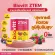 Biovitt Ztem, radiant stem cell supplement, aging, reinforcement, immune, skin care, balance, 0% sugar, 120g.