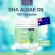 NBL DHA Al -Oil 180 Capsules DHA from high concentrated algae, small grain, fish, easy to eat, not fishy.
