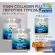 VGEN Collagen Plus Tripeptide Type2&3 วีเจนคอลลาเจนพลัสไตรเปบไทด์ไทพ2&3 กระปุก150กรัม2กปฟรี50กรัม1กปฟรีวิตามินซี