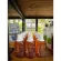 BPA natural extract, size 120 ml kincare