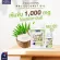 เอ็นบีแอล โคโคนัท ออยล์ 1000 มก. 365 แคปซูล  น้ำมันมะพร้าวสกัดเย็น เข้มข้น 1000 มิลลิกรัม จากประเทศออสเตรเลีย