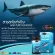 AuswellLife Pure Squalene Tasmanian 1,000mg, Shark liver oil, 2 sizes, 30 and 60 tablets