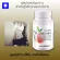ซิตริแม็กซ์ กิฟฟารีน HCA-SX  สารสกัดธรรมชาตินำเข้าจากประเทศอเมริกา 100% มีส่วนช่วยในการดูแลน้ำหนักบรรจุ 30 แคปซูล ส่งฟรี