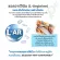 Life Best L-Arginine Plus Zinc 50 capsules ไลฟ์ เบสต์ แอล-อาร์จินีน พลัส ซิงค์ บำรุงสุขภาพท่านชาย 50 แคปซูล