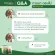 Oryza น้ำมันรำข้าวและจมูกข้าว สกัดธรรมชาติ 100%