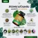 เพชรสังฆาต & สเปรย์ริดสีดวง SN9 บรรเทาอาการริดสีดวง ริดสีดวงทวาร ขนาด 50แคปซูล / กระปุก พร้อมส่ง