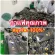 พิเศษซื้อ 1 กล่อง แถมฟรี 1 ซอง  แมกซ์วัน คอฟฟี่ Max one coffee กาแฟสำหรับผู้ชาย แมกซ์วัน คอฟฟี่ แข็งแรง อึดทนนาน