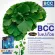 AuswellLife BCC Brain & Cardio Care with Squalene & Ginkgo helps to nourish the brain. There are 2 sizes, 30 and 60 capsules.