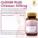 Clover plus chitosan 500 mg. 2 chitosan dietary supplements