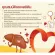 เลซิตินกิฟฟารีน ดูแลตับ Lecithin Giffarine เลซิติน จากถั่วเหลือง ผสมแคโรทีนอยด์ และวิตามินอี ชนิดแคปซูล