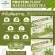 Protein Plants protein planet, Matcha green tea flavor from 3 plants, organic protein, protein from peas, peas, instant potatoes, 1 box of powder, 7 sachets, 350 grams.