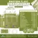 Protein Plants protein planet, Matcha green tea flavor from 3 plants, organic protein, protein from peas, peas, instant potatoes, 1 box of powder, 7 sachets, 350 grams.