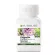 Amway Nutrilite Cistanche Amway Nutrite System instead of vitamin nourishing the brain to protect against the brain. Amway antioxidant contains 60 capsules-Thai shop