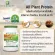 Amway โปรตีน NUTRILITE