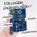 collagen ผิวขาว  YOO COLLAGEN บำรุงกระดูก ข้อ เข่า 9 แถม 5 คอลลาเจนชง คอลลาเจนเพียว คอลลาเจนผิว กระปุกล่ะ 110,000 mg. ส่งฟรี !!