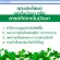 โกตูลา ซี-อี ผลิตภัณฑ์เสริมอาหาร สารสกัดจากใบบัวบก ผสมวิตามินซีและวิตามินอี ชนิดแคปซูล ตรา กิฟฟารีน