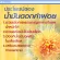 กิฟฟารีน Giffarine ซี แอล เอ CLA 900 นํ้ามันดอกคำฝอย เพิ่มการเผาผลาญอาหาร ลดไขมันในเส้นเลือด เสริมสมรรถสภาพทางเพศชาย 30 แคปซูล capsules 40107
