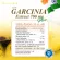 Garcinia, Garcinia Extract 30 Capsule