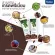 Protein Plant by Medileen โปรตีนทดแทนมื้ออาหาร