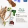 Protein Plant by Medileen โปรตีนทดแทนมื้ออาหาร