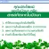 กิฟฟารีน Giffarine โกตูล่า ซี-อี Gotula C E สารสกัดจากใบบัวบก ผสมวิตามินซีและวิตามินอี ช่วยระบบหมุนเวียนโลหิต ลดเส้นเลือดขอด อาการบวมตามข้อ 60 แคปซูล