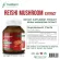 Reishi Mushroom Extract x 3 bottles of Ganoderma Morikami Morikami Lin Chu