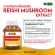 Lingzhi x 1 bottle of Ganoderma Extract Bio Cap Reishi Mushroom Extract Biocap