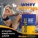 Best selling !! Biovitt whey protein for women, fat reduction formulas, not fat, lean lean, clear lean, all parts see 224 grams.