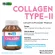 Collagen Type x 1 bottle of Bio Cap Collgen Type II Biocap 2 -type Type2 collagen 2