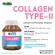 Collgen Type II x 3 bottles of Biocap Collagen Type Typyap Type 2 Type Type2 Collagen Typh 2